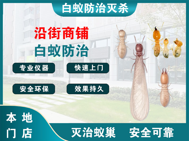 新昌县沿街商铺白蚁防治