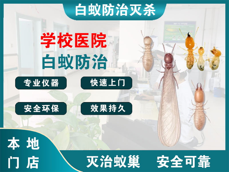 新昌县学校医院白蚁防治
