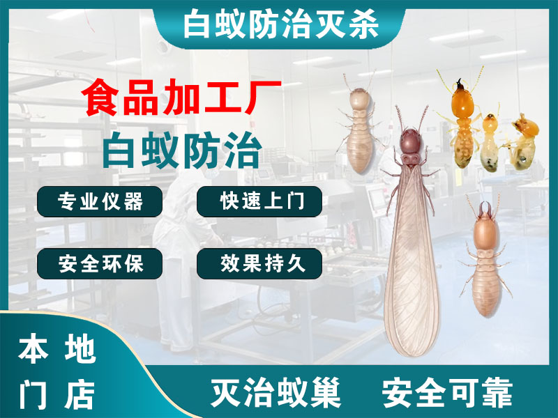 新昌县食品加工厂白蚁防治