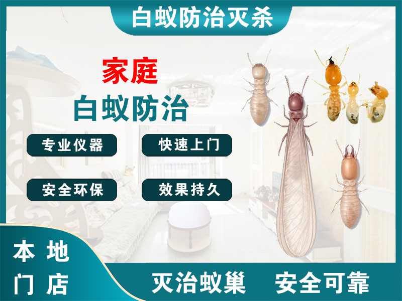 新昌县家庭白蚁防治