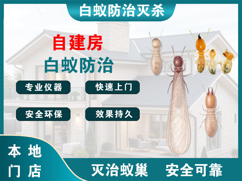 新昌县自建房白蚁防治