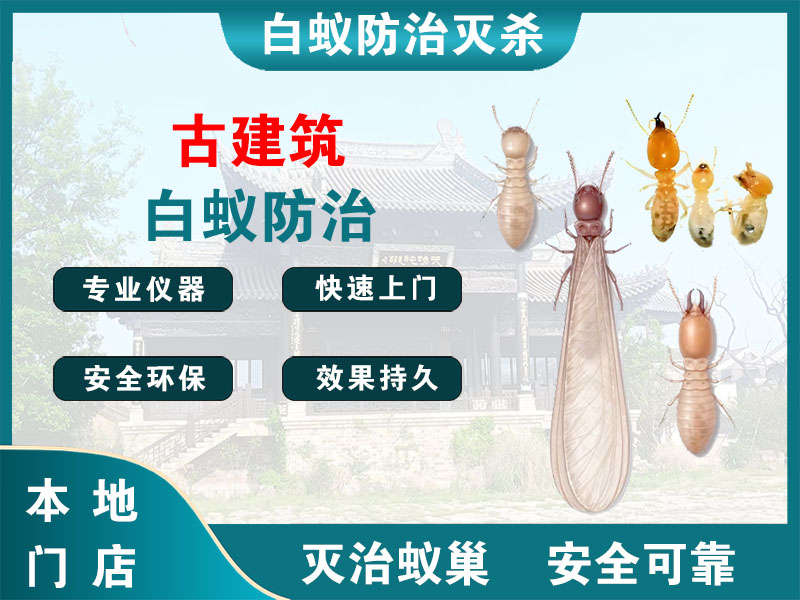 新昌县古建筑白蚁防治