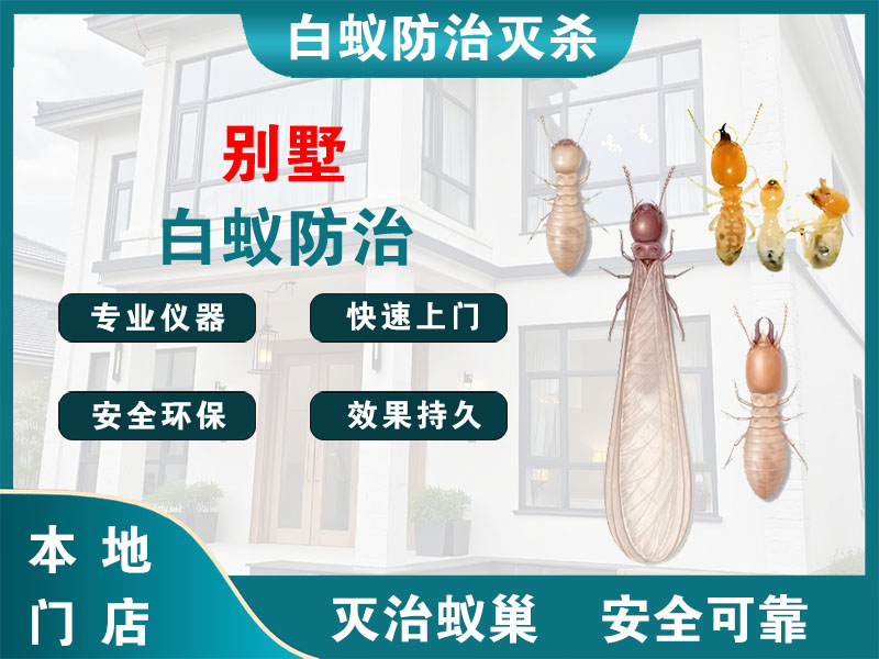 新昌县别墅白蚁防治